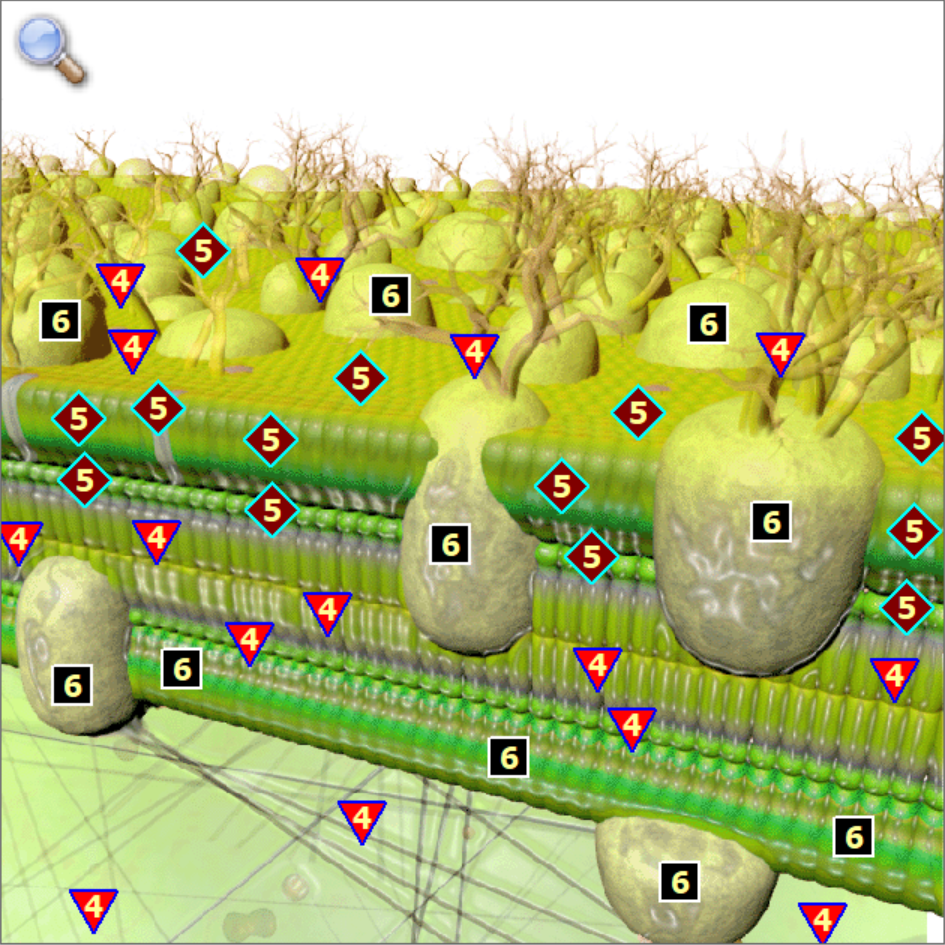 비침습 게시판 글 작성입니다