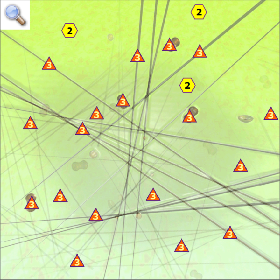 차세대_볼트검사